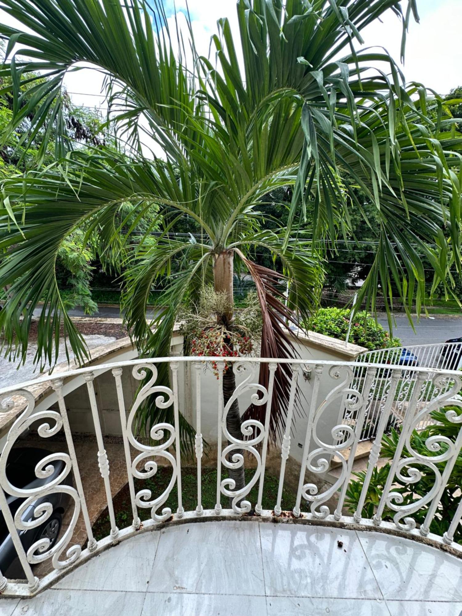Casa Sasha'S Mini Palace Cancun Exterior photo